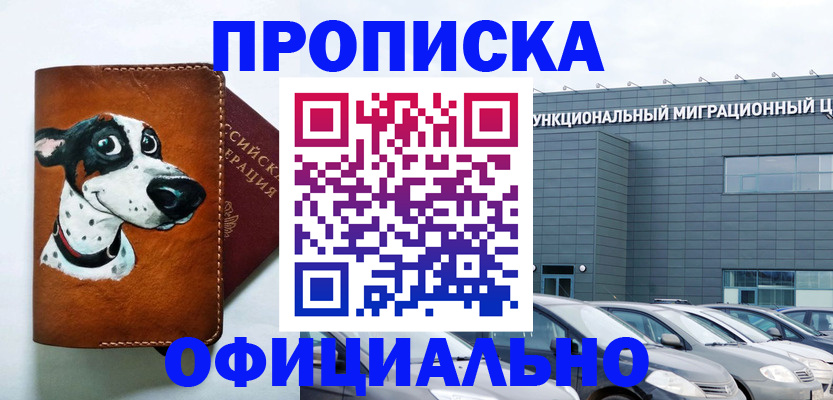 временная прописка в Электрогорске